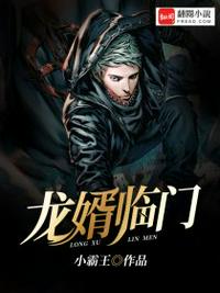 化龙赘婿